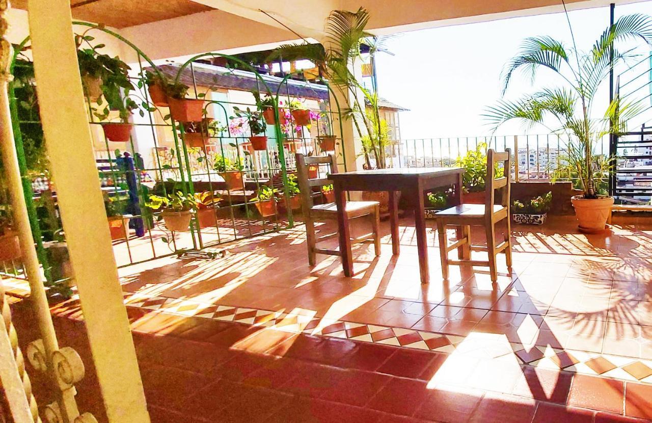ホテル Paloma Del Mar (Adults Only) プエルトバラータ エクステリア 写真