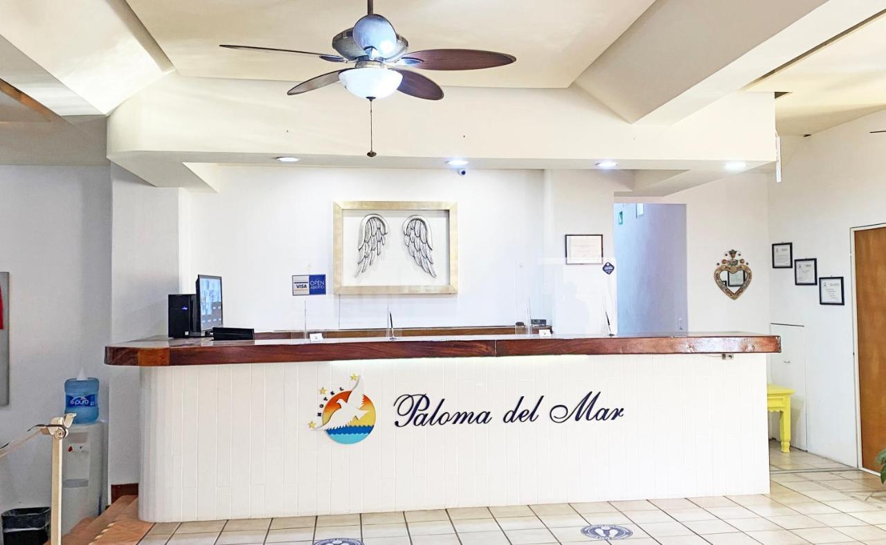 ホテル Paloma Del Mar (Adults Only) プエルトバラータ エクステリア 写真